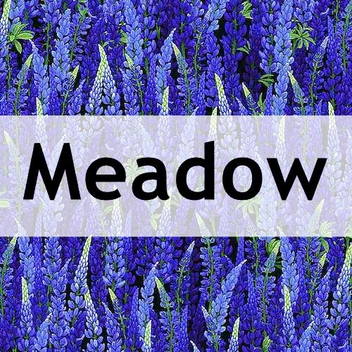 TT Meadow
